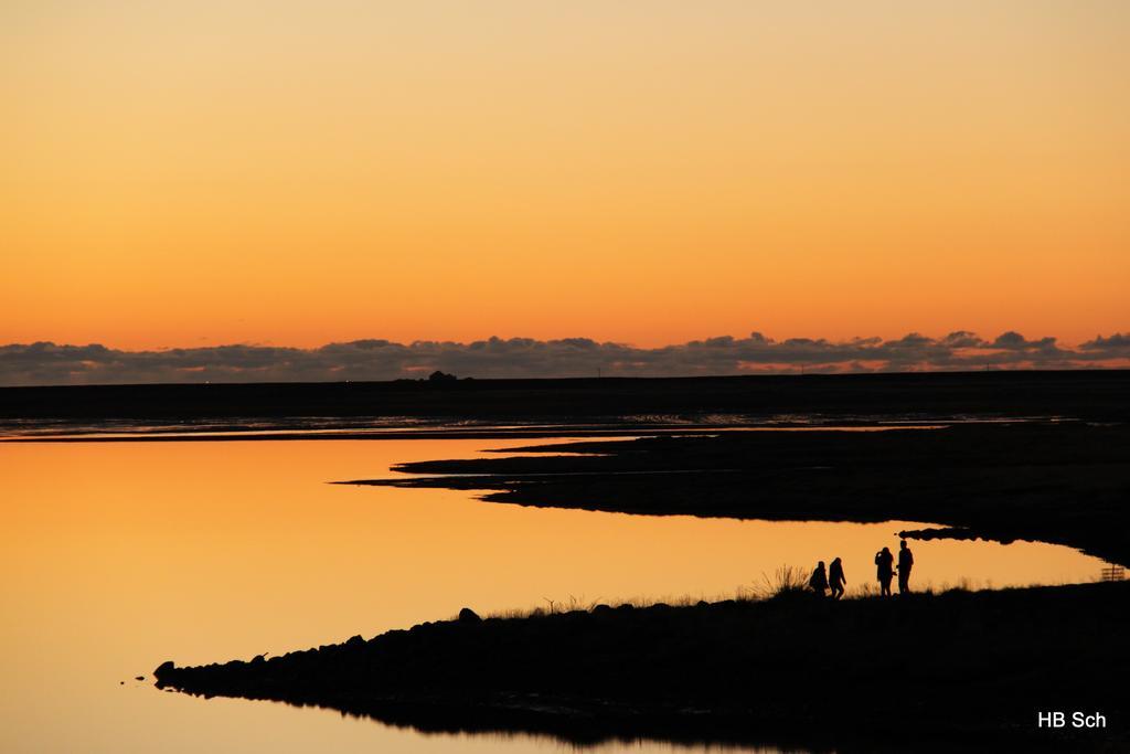 South Iceland Guesthouse Steinar Luaran gambar