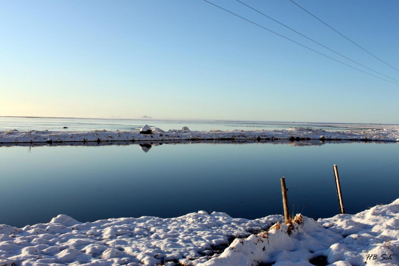 South Iceland Guesthouse Steinar Luaran gambar