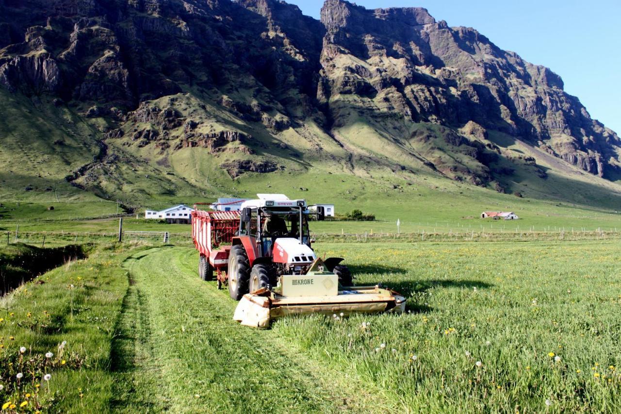 South Iceland Guesthouse Steinar Luaran gambar